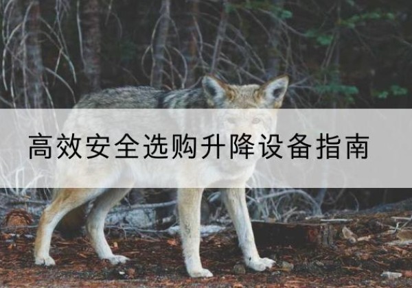 阳曲升降货梯厂家推荐-*安全选购升降设备指南