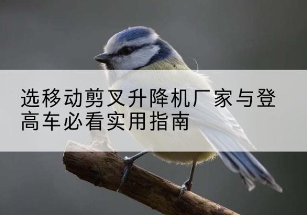 阳曲电动升降机厂家-选移动剪叉升降机厂家与登高车必看实用指南